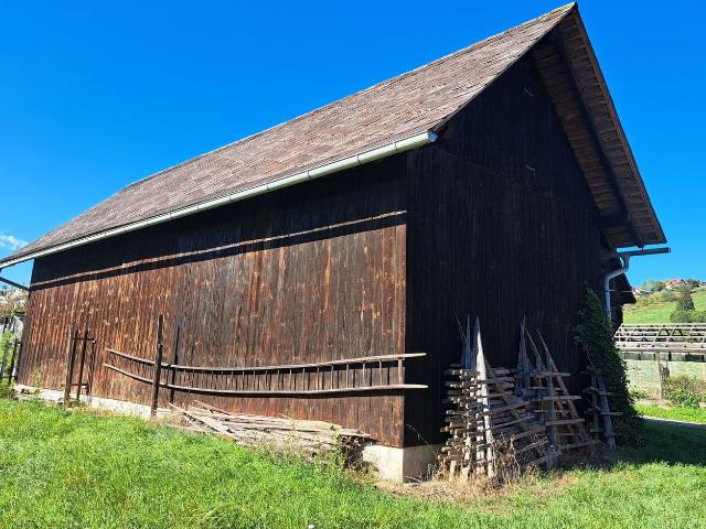 Landwirtschaft kaufen in Stallhofen, Steiermark