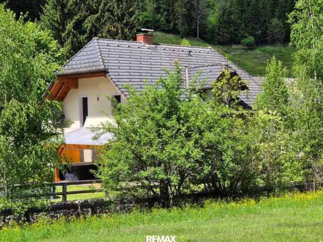 Haus kaufen in Schöder, Steiermark