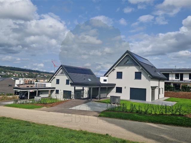 Einfamilienhaus kaufen in Porrentruy, Jura
