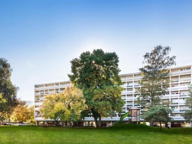 Apartment mieten in Birr, Aargau