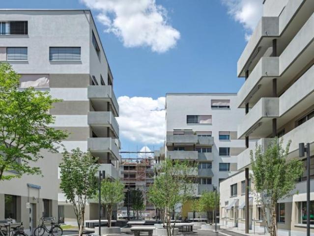 Apartment mieten in Einigen, Zürich