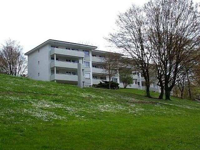 Apartment mieten in Einigen, Zürich