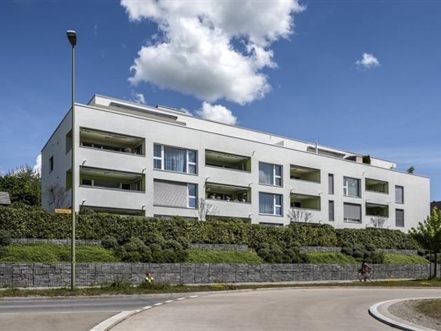 Wohnung mieten in Hinwil, Zürich