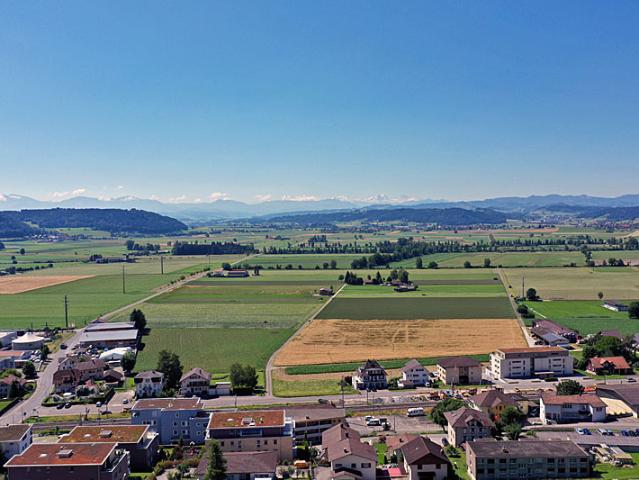 Wohnung mieten in Lü