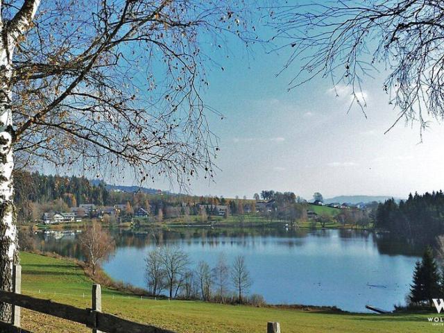 Immobilie kaufen in Laboisen, Feldkirchen in Kärnten