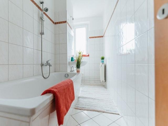 Apartment mieten in Magdeburg, Neustädter See