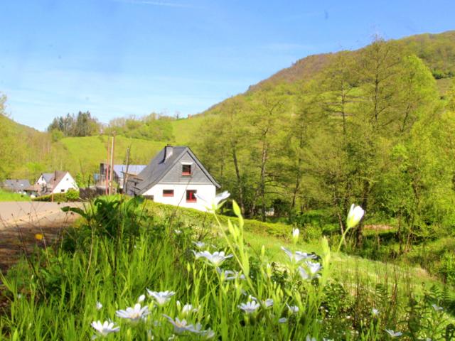 Landwirtschaft kaufen in Traben-Trarbach, Rheinland-Pfalz