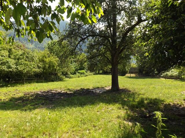 Grundstück kaufen in Feldkirch, Vorarlberg