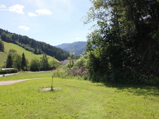 Grundstück kaufen in Gresten, Niederösterreich
