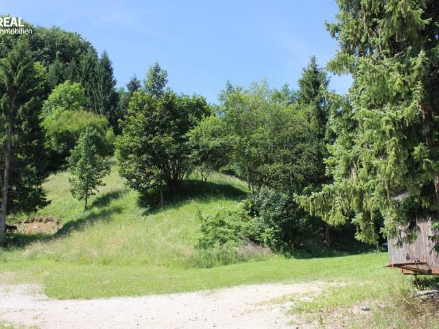 Grundstück kaufen in Scheibbs, Niederösterreich