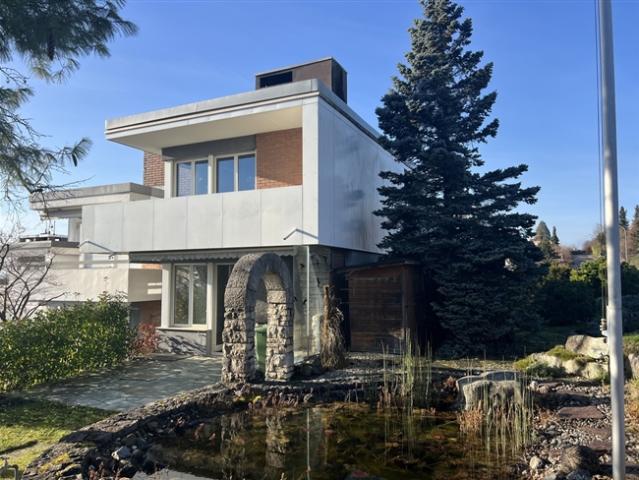 Reihenfamilienhaus kaufen in Winkel, Zürich