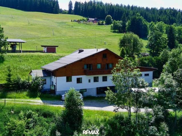 Gewerbe kaufen in Steiermark