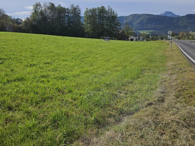 Grundstück kaufen in Oberwang, Oberösterreich