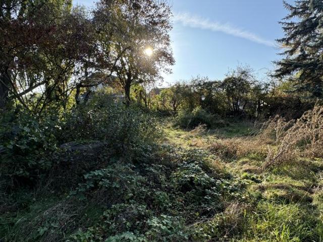 Grundstück kaufen in Biedermannsdorf, Niederösterreich