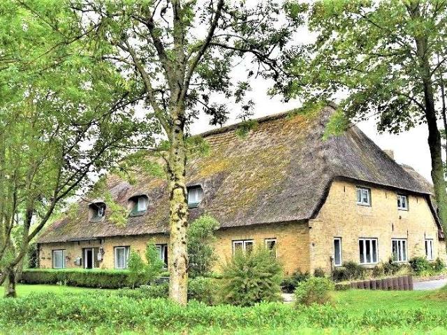 Haus kaufen in Drage, Kreis Nordfriesland