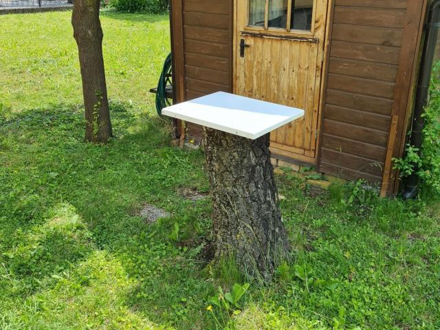 Haus kaufen in Langenlebarn - Oberaigen, Tulln an der Donau