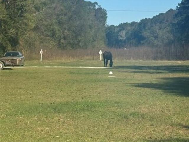 Land for sale in Conroe Land for sale in Conroe