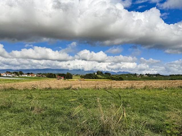 Wohnung mieten in Tolochenaz, Waadt