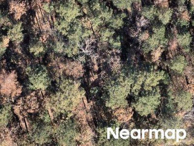 Land for sale in Ark