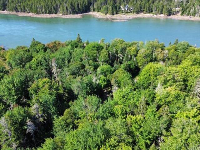 Land for sale in Milbridge, Maine