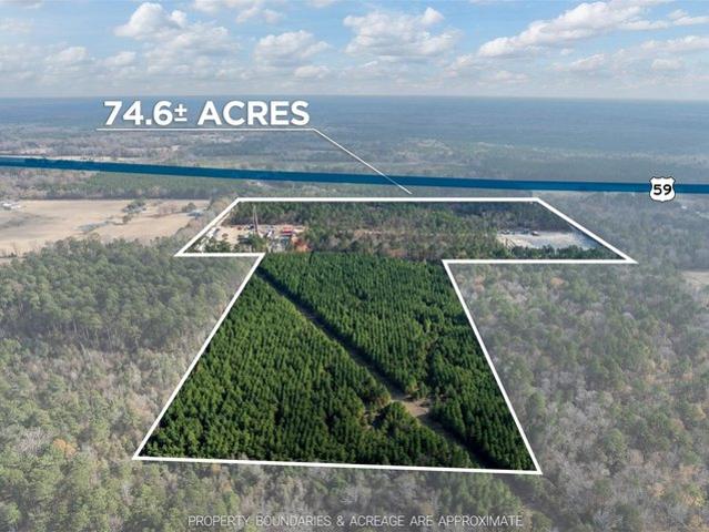 Land for sale in Harrison, Texas