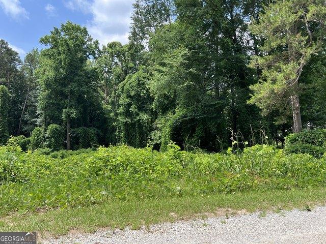 Land for sale in Banks, Georgia