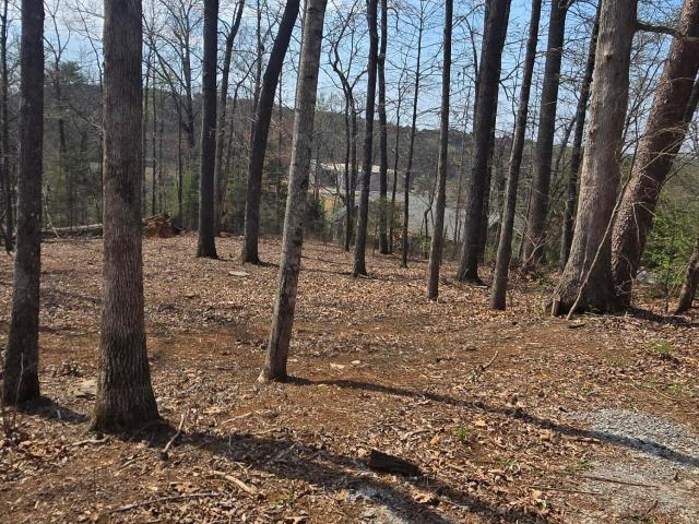 Land for sale in Tennessee