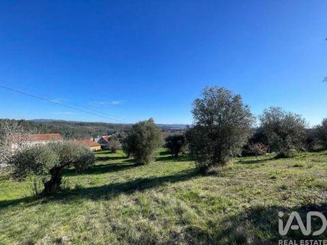 Terreno venda em Tomar, Santarém
