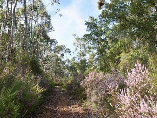 Terreno venda em Tomar, Santarém