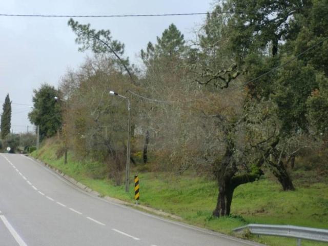 Terreno venda em Tomar, Santarém