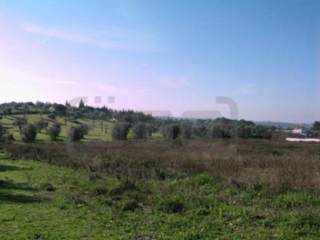 Terreno venda em Madalena e Beselga, Tomar