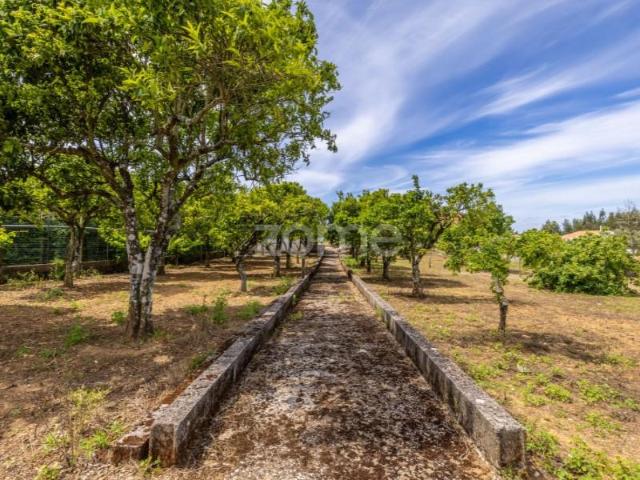 Terreno venda em Tomar, Santarém
