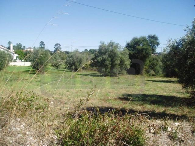 Terreno venda em Soianda, Tomar