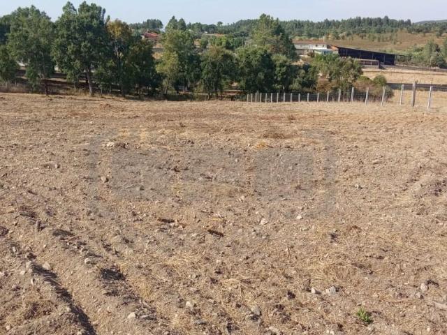 Terreno venda em Algarvias, Tomar
