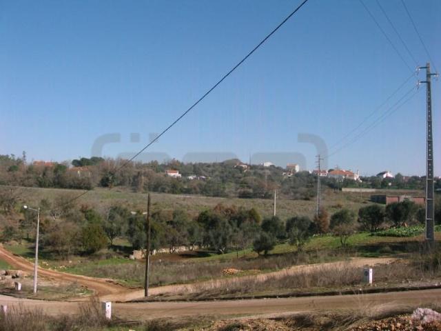 Terreno venda em Quinta de Santo André, Tomar