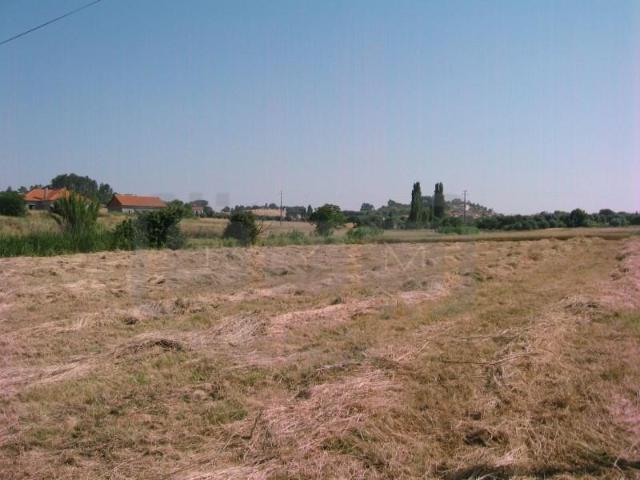 Terreno venda em Tomar, Santarém