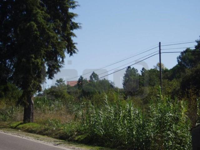 Terreno venda em Tomar, Santarém