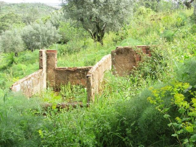 Terreno venda em Tomar, Santarém
