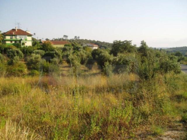 Terreno venda em Tomar, Santarém