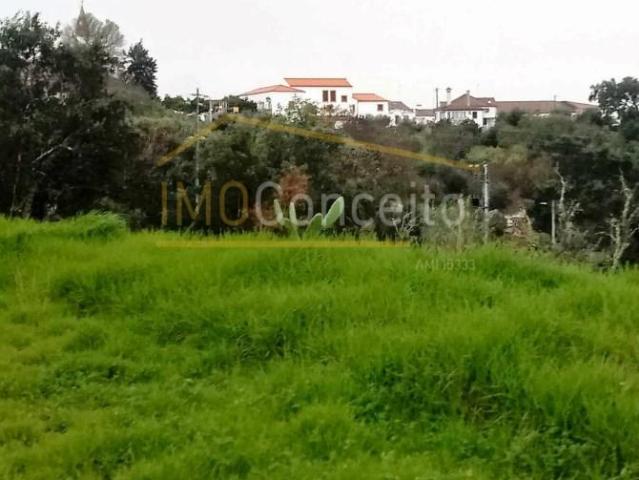 Terreno venda em Tomar, Beberriqueira Terreno venda em Tomar, Beberriqueira