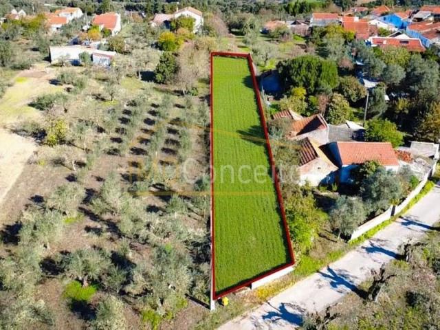 Terreno venda em Peralva, Tomar