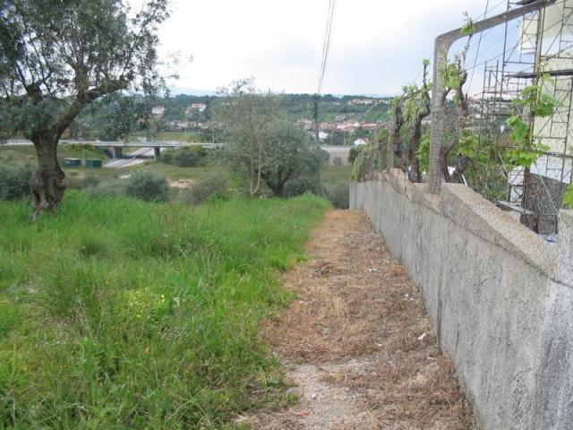 Terreno venda em Tomar, Santarém