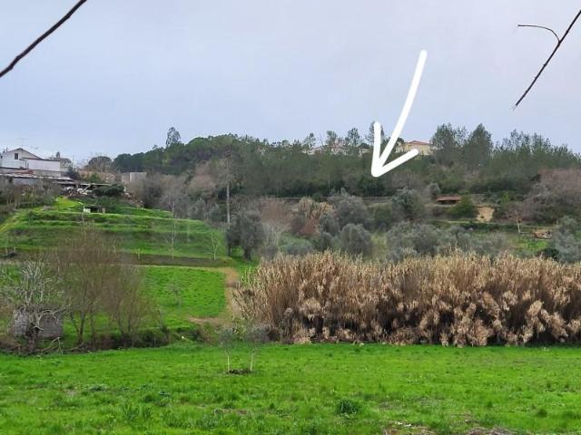 Terreno venda em Tomar, Santarém