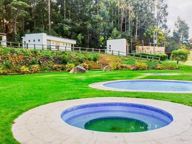 Tomé, Pingueral, tomé