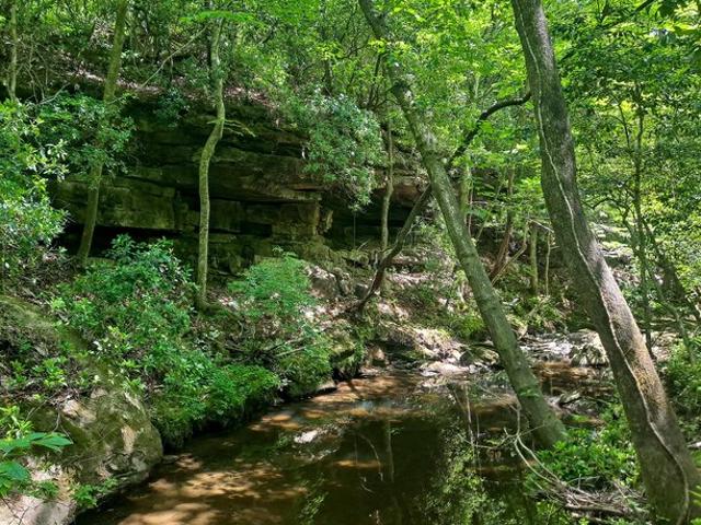 Land for sale in Carbon Hill, Alabama