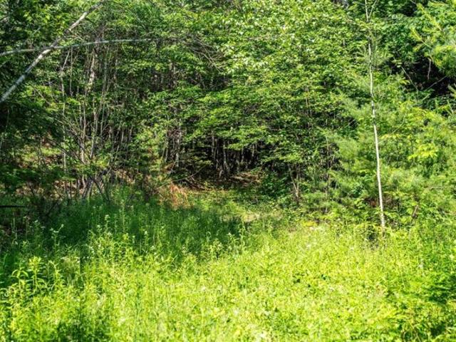 Land for sale in New Hampshire