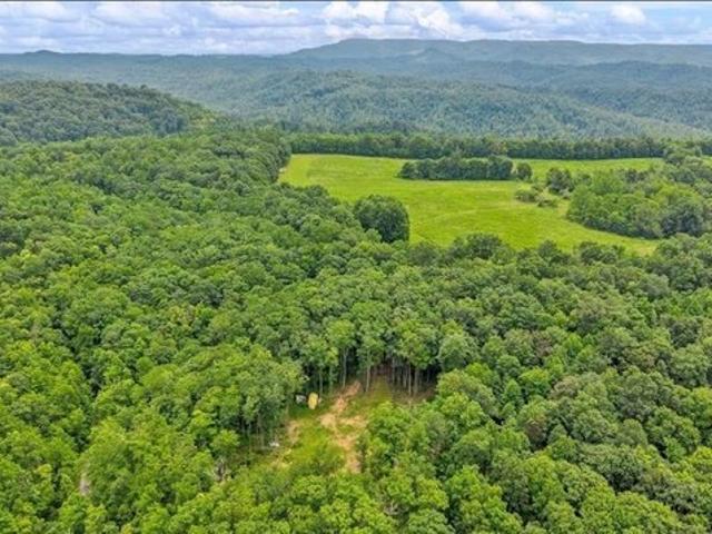 Land for sale in Odd, West Virginia