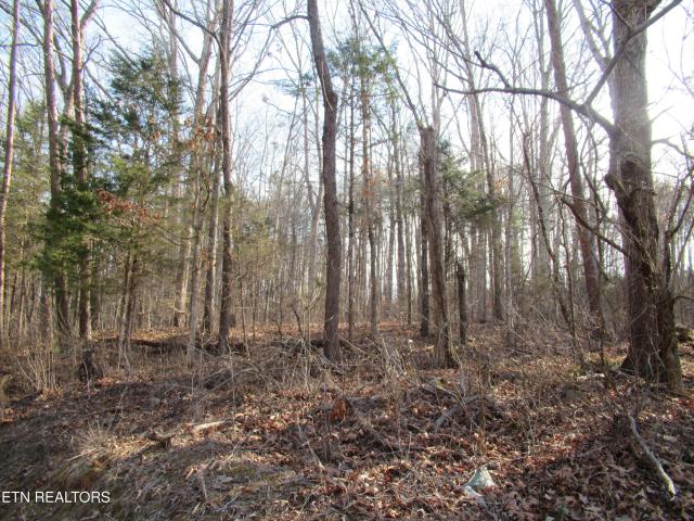 Land for sale in Tennessee