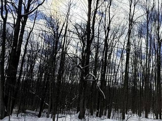 Land for sale in Jefferson, Ohio