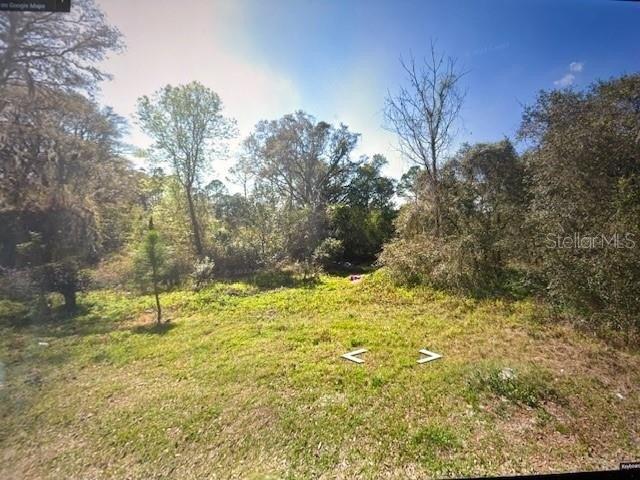 Land for sale in Eustis, Florida